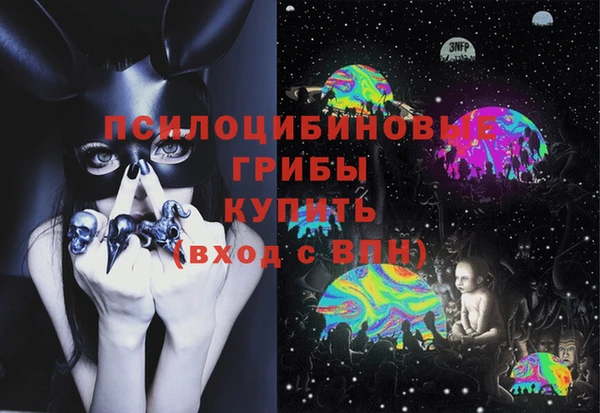 спиды Белокуриха