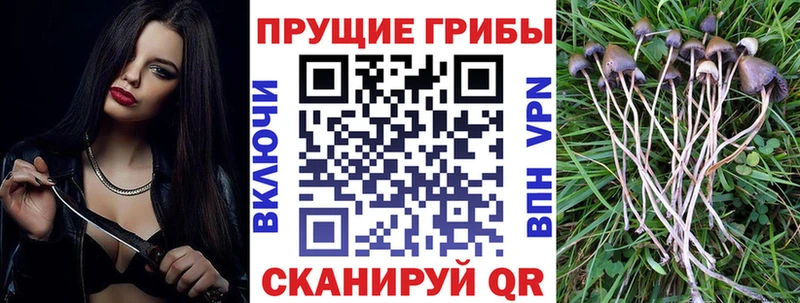 продажа наркотиков  Воскресенск  Псилоцибиновые грибы ЛСД 